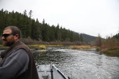 DSC_0167 (Large).JPG